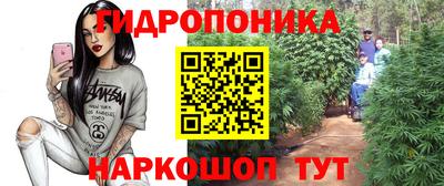 соль ск Заволжье