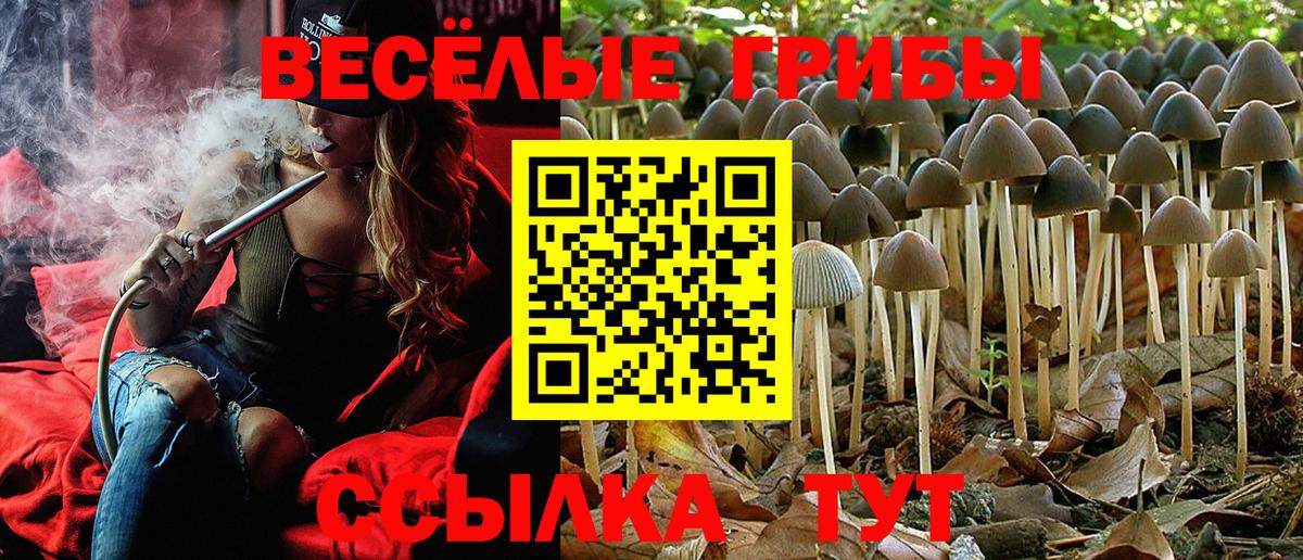Псилоцибиновые грибы прущие грибы Малгобек