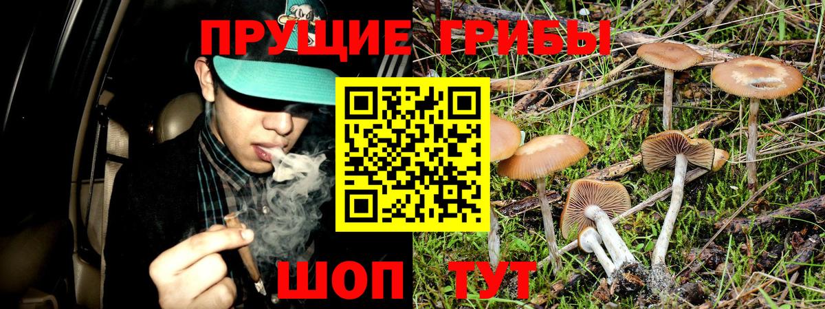 Галлюциногенные грибы ЛСД  Вход с VPN  Малгобек 